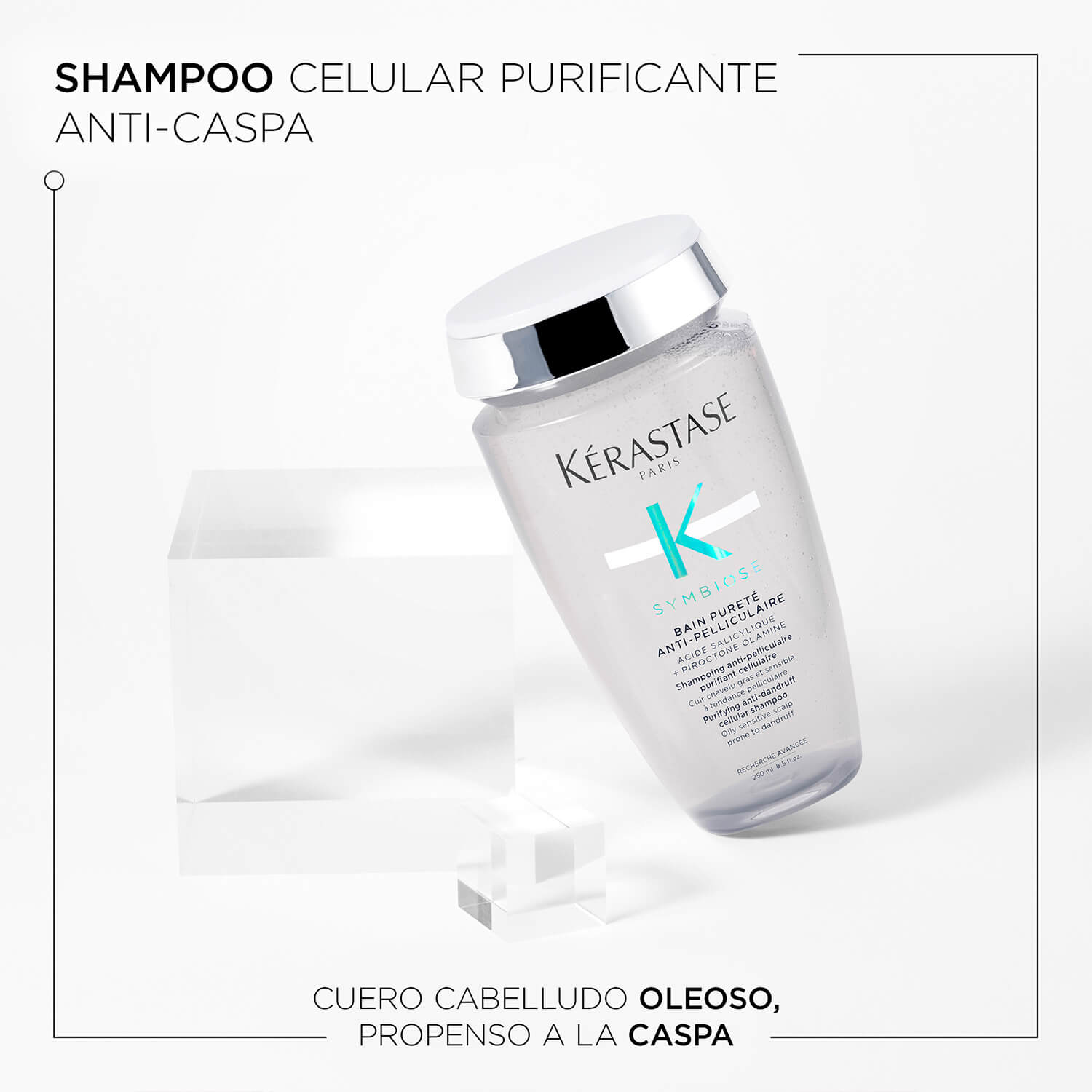 BAIN PURETE ANTI-PELLICULAIRE (SHAMPOO PARA CASPA GRASA)